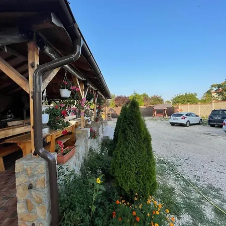 Pensjonat Casa Leo Două Mai