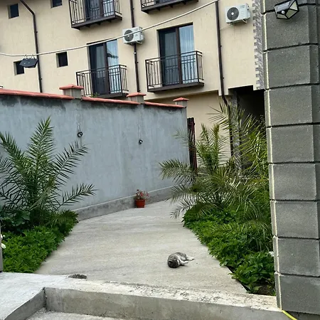 Pensjonat Casa Leo Două Mai