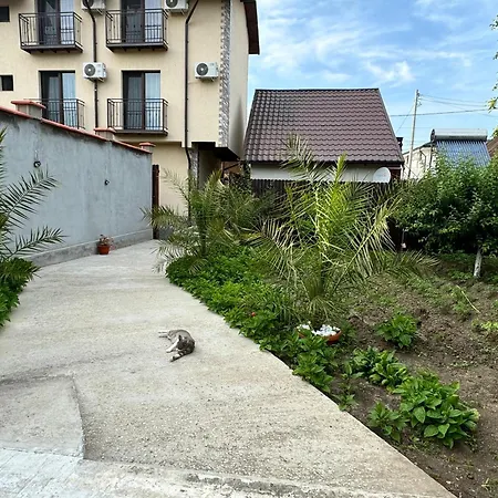 Pensjonat Casa Leo Două Mai