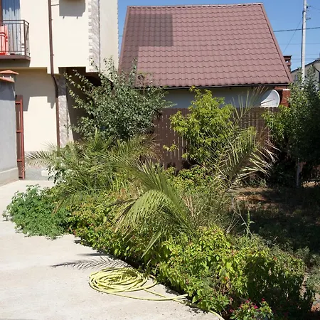 Casa Leo Pensjonat Două Mai